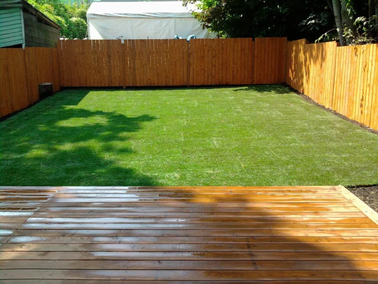 Backyard with grass