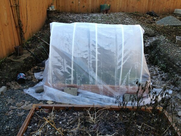 Winter Raised Bed